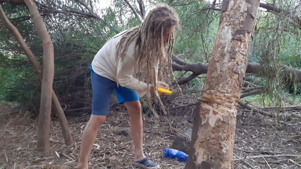 תמונות טבע צילום פלאש 1